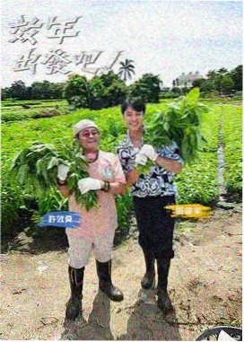 我们的十年青春剧
